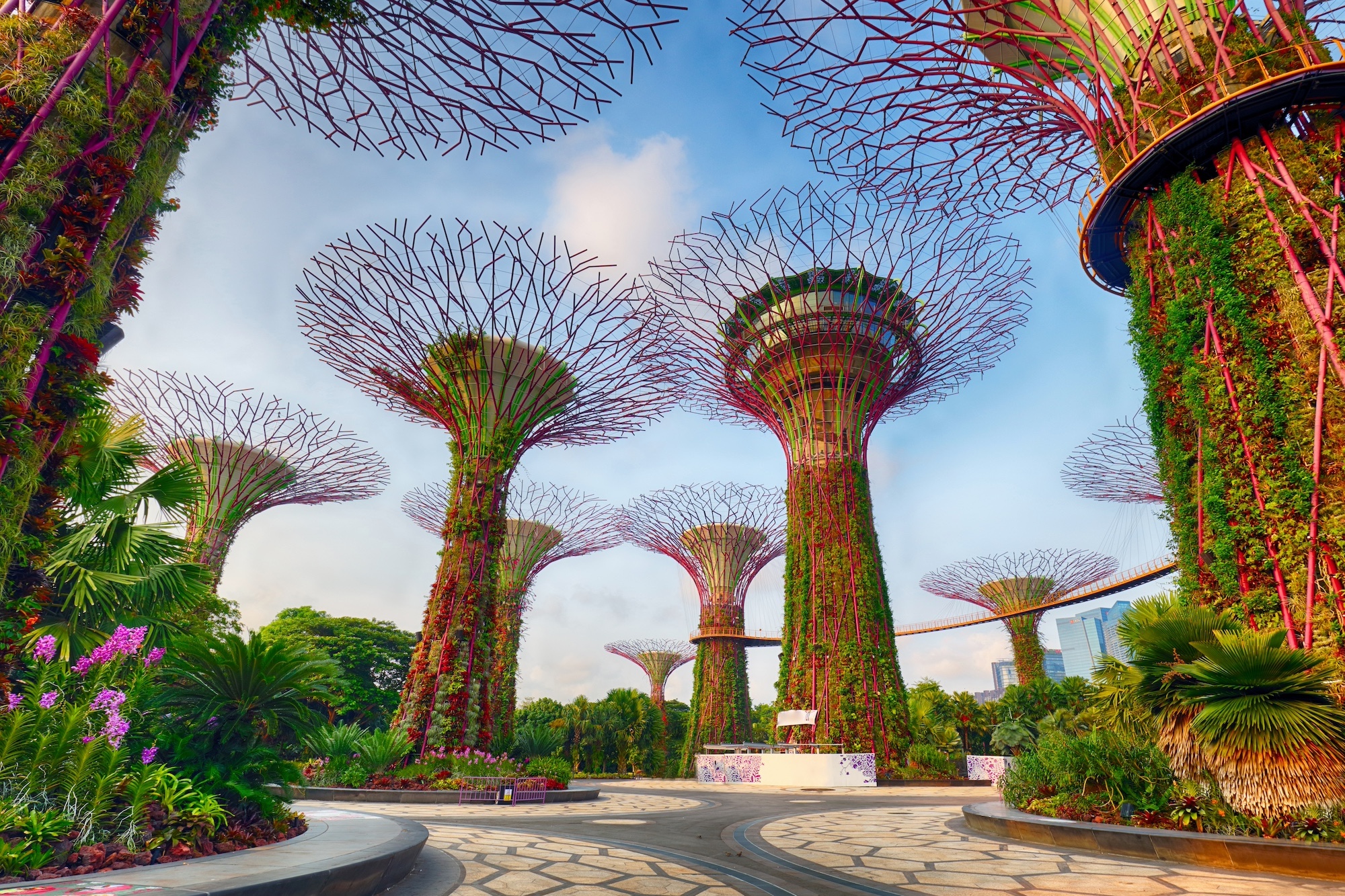 ¡Próximo Congreso en Singapur 2028!
